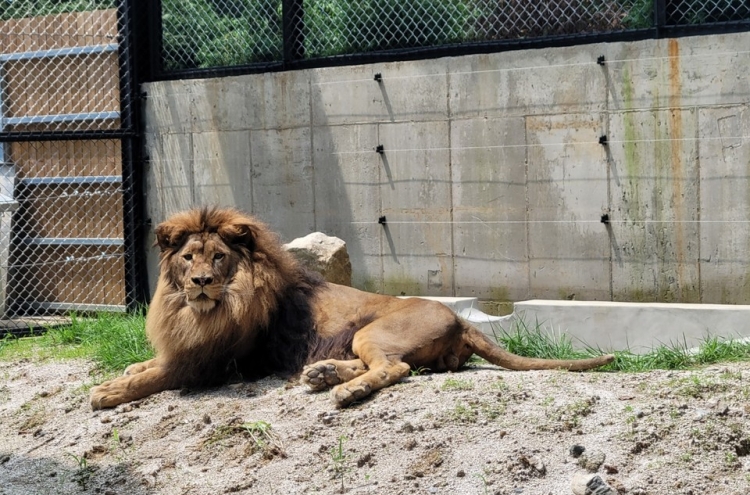 Requirements for zoo licenses set to be toughened