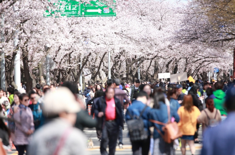 Yeongdeungpo-gu to turn into cherry blossom heaven