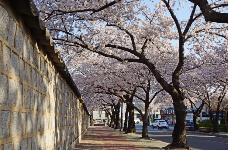 Gyeongju's Daereungwon to become car-free on Fridays, Saturdays in April