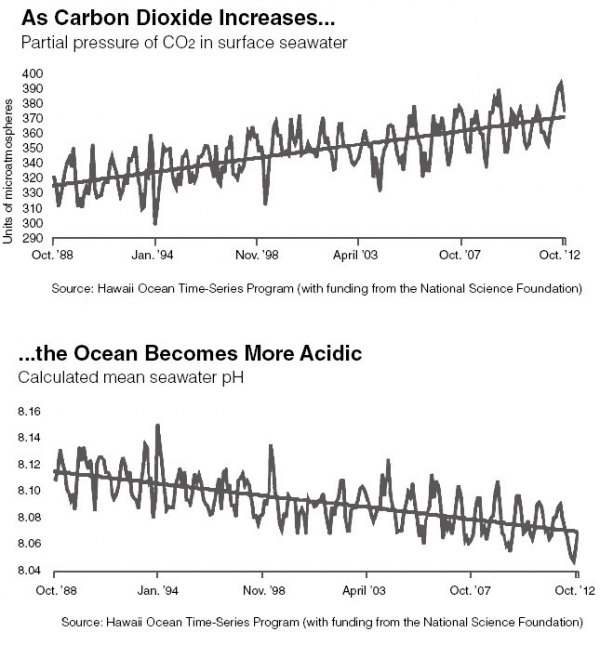Climate change problem goes underwater