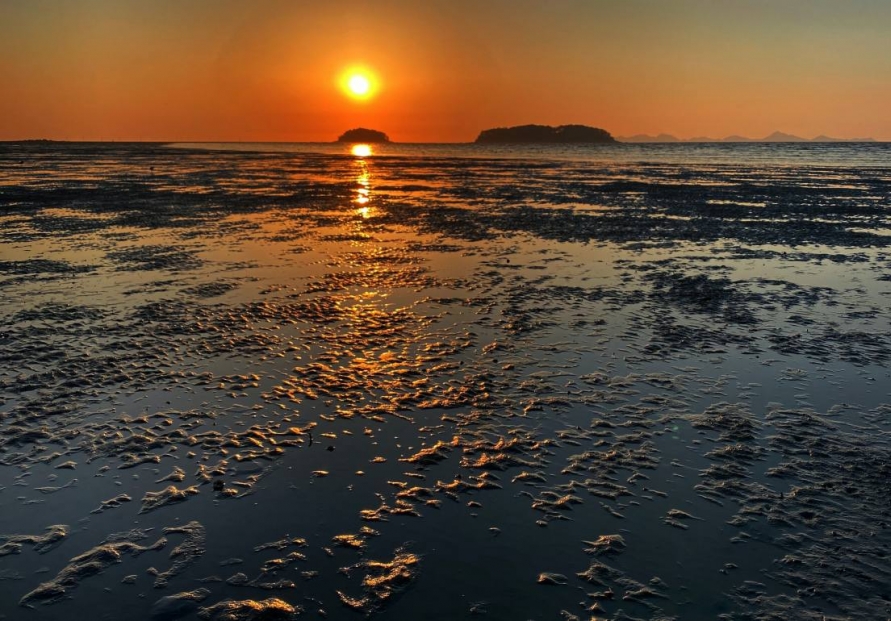 Gaetbeol, the Korean tidal flats and sustainable seafood dining