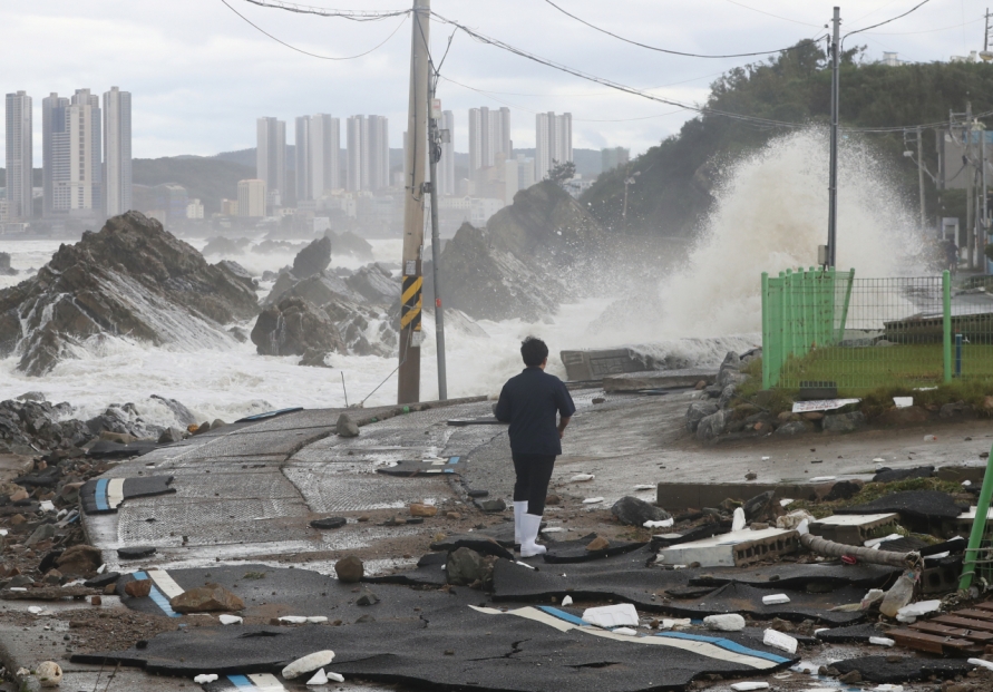 [Photo News] Post-typhoon scene in southeast Korea