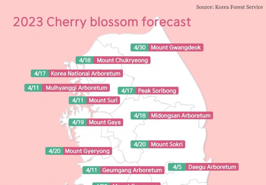 [Photo News] When is peak cherry blossom season?