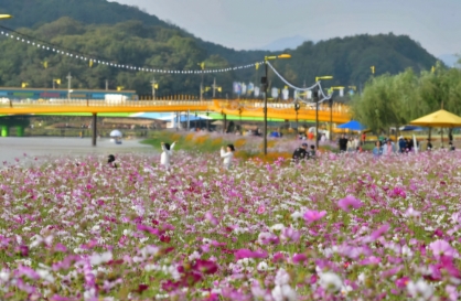  Festivals, sights across Korea