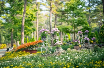  Festivals, sights across Korea