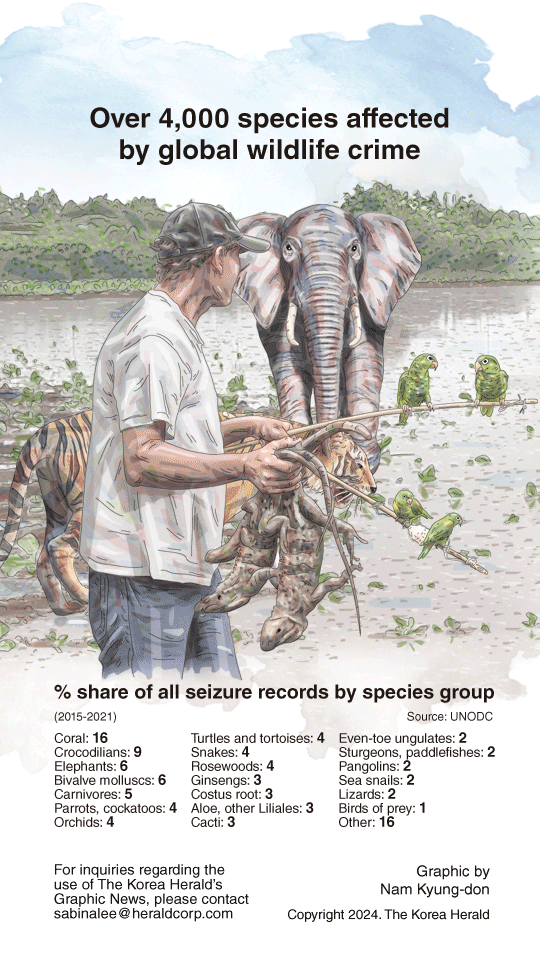 [Graphic News] Over 4,000 species affected by global wildlife crime