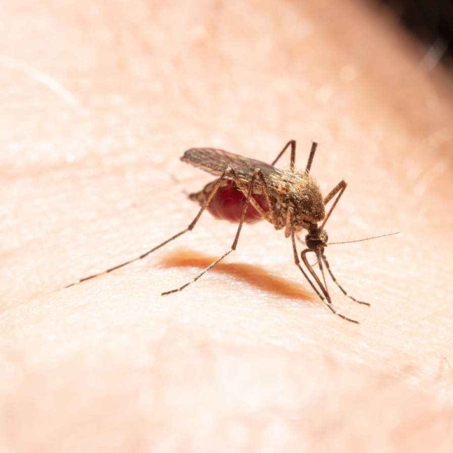 Mosquito activities unusually high in June