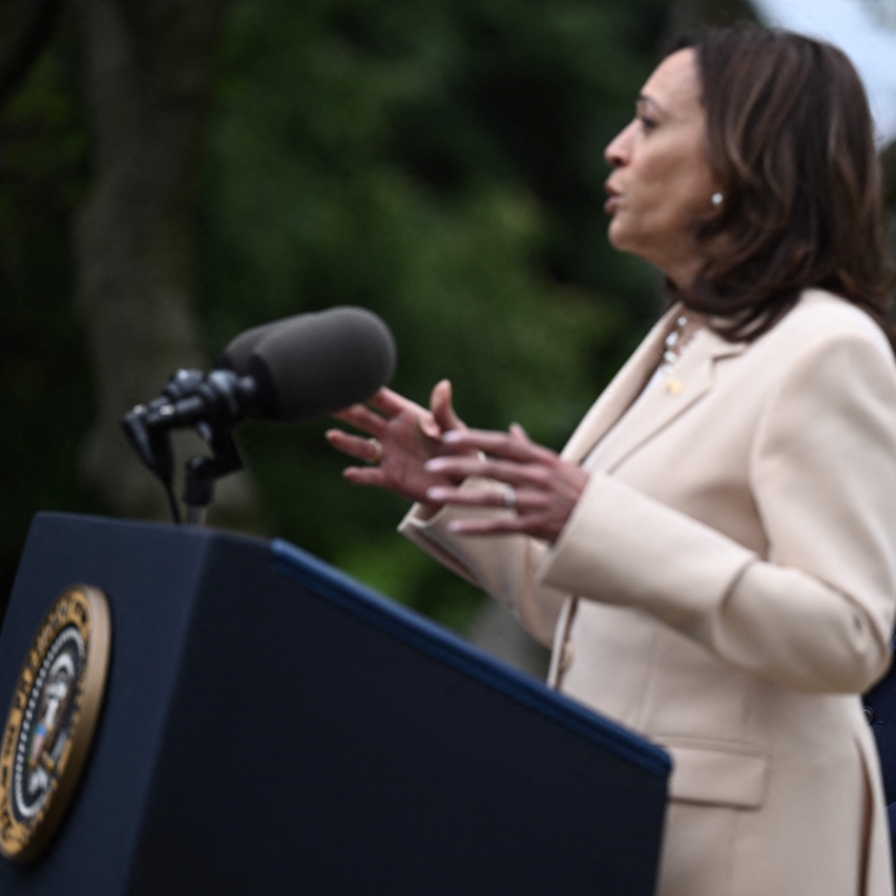 Democrats promise 'orderly process' to replace Biden, where Harris is favored but questions remain