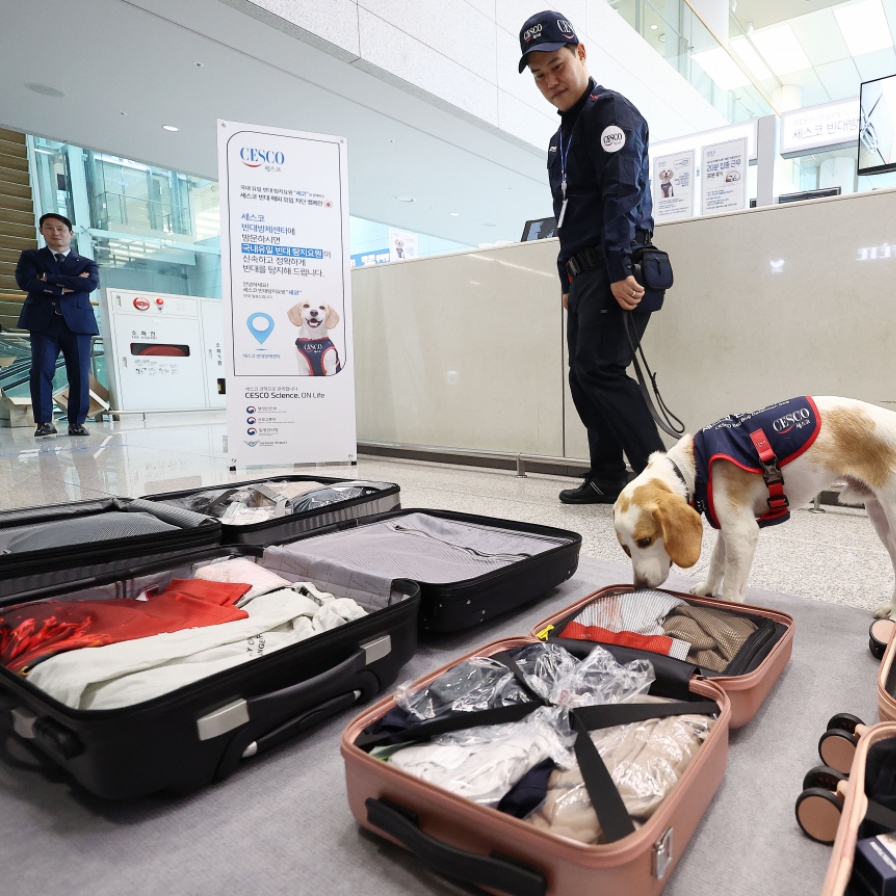 South Korea deploys sniffer dog to screen for bedbugs after Paris Games