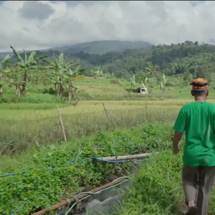 Jeju Biennale to reveal history of 'drifting'