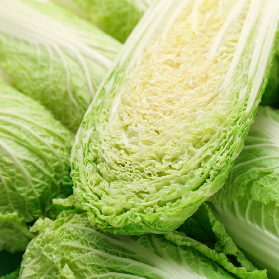 Cabbage prices soar 70% amid heat wave