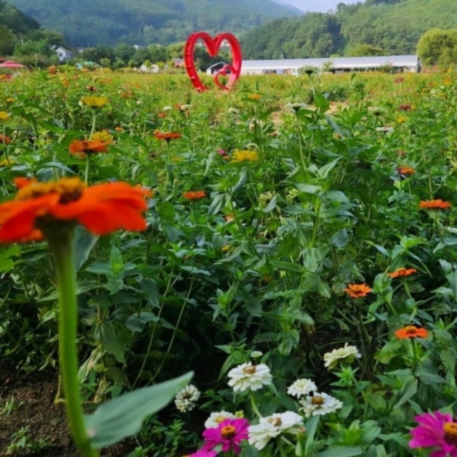  Festivals, sights across Korea