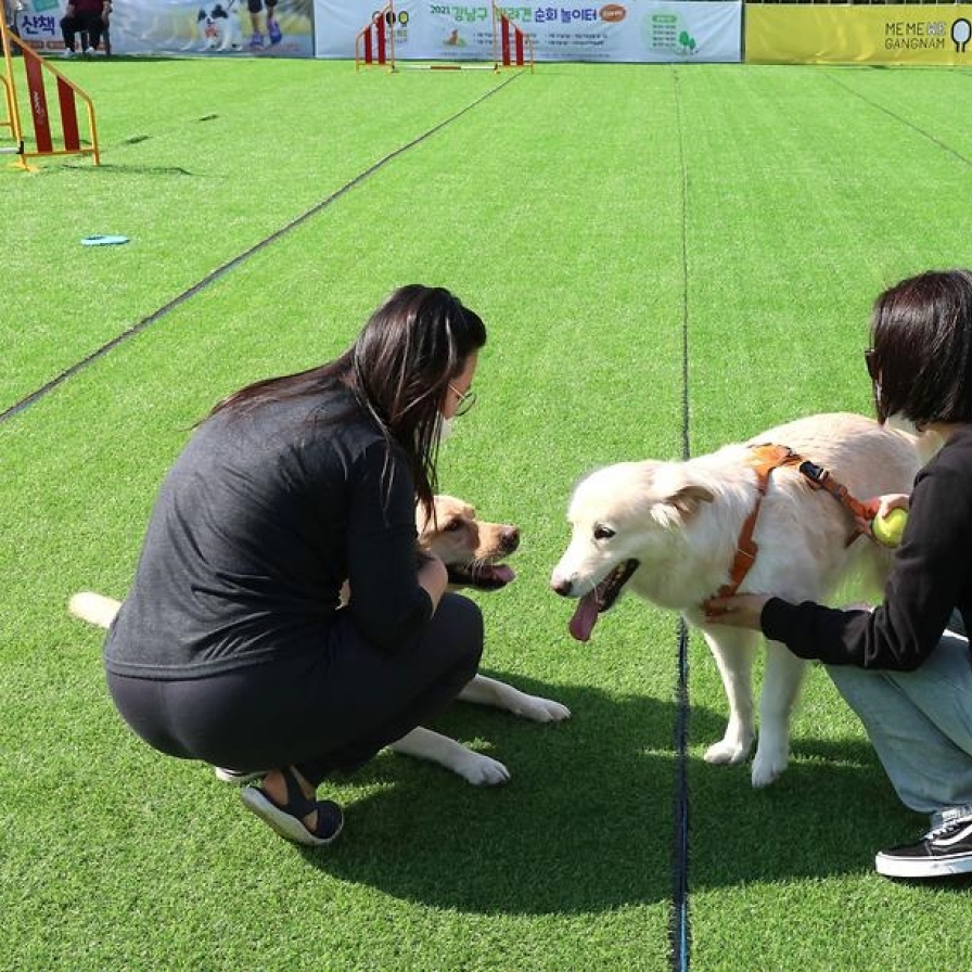 Take your dog to a festival this October