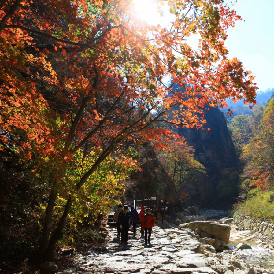 Travel agencies rush fall tourism products as fall foliage expected to arrive early