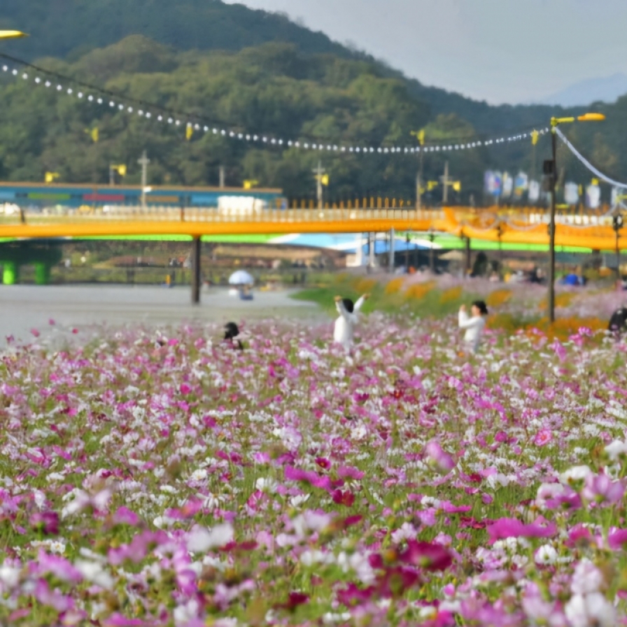  Festivals, sights across Korea