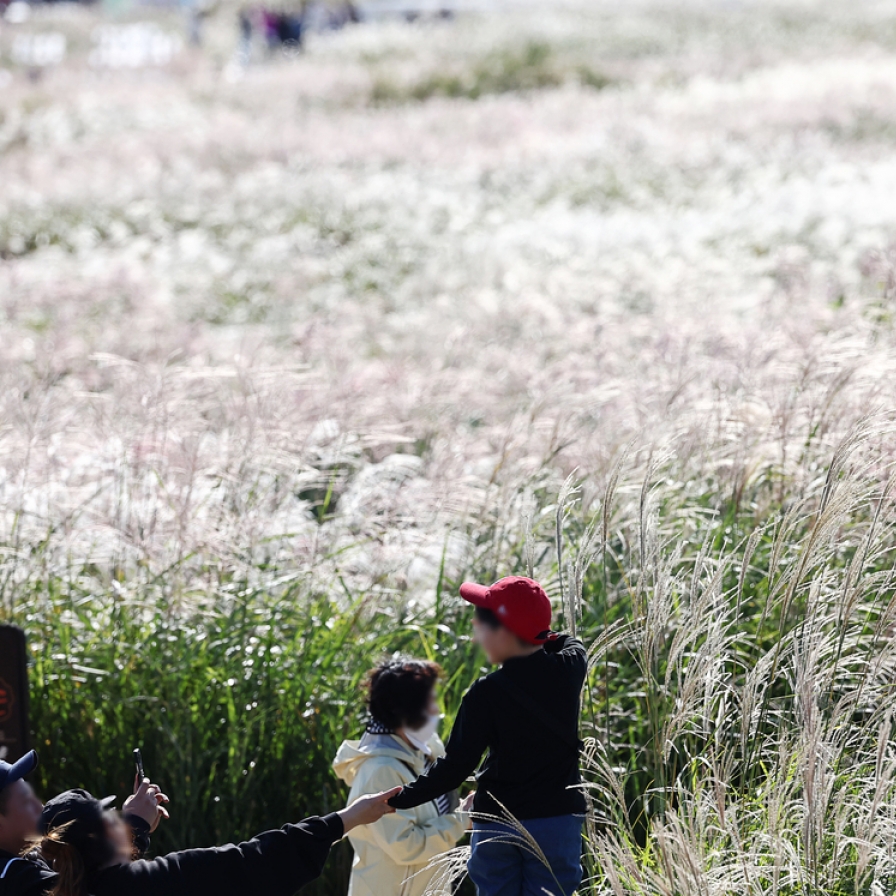 Feel the autumn at Seoul Silver Grass Festival