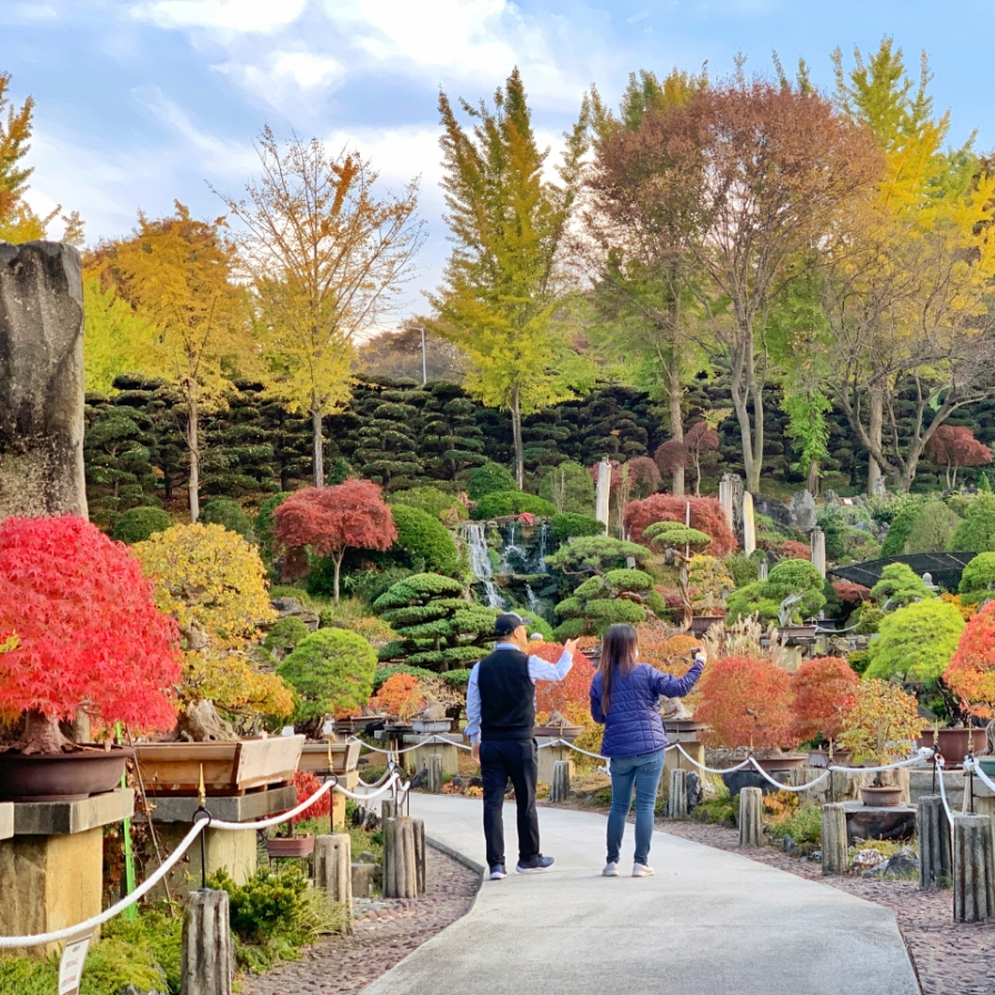  Festivals, sights across Korea