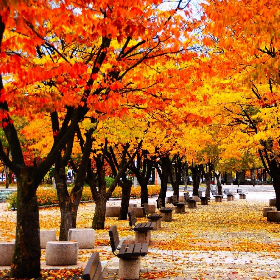 103 autumn foliage paths in Seoul