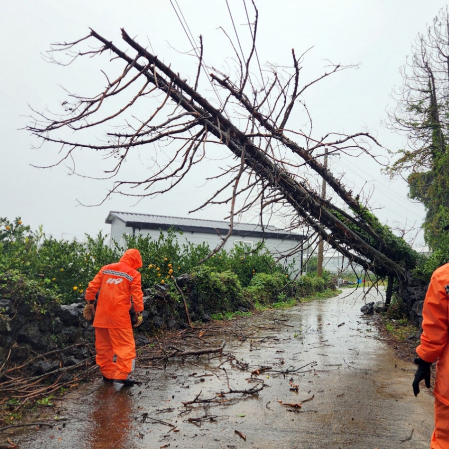 Heaviest November rain in 101 years drenches Jeju