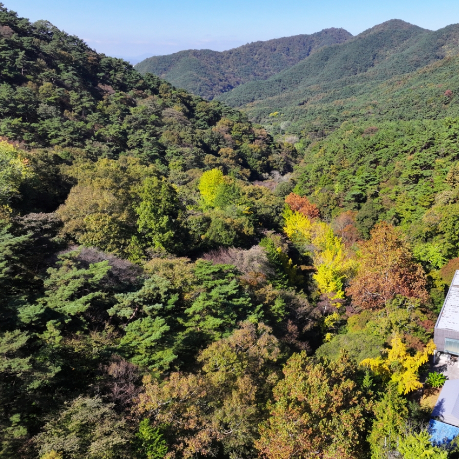 Hot weather has leaves turning later