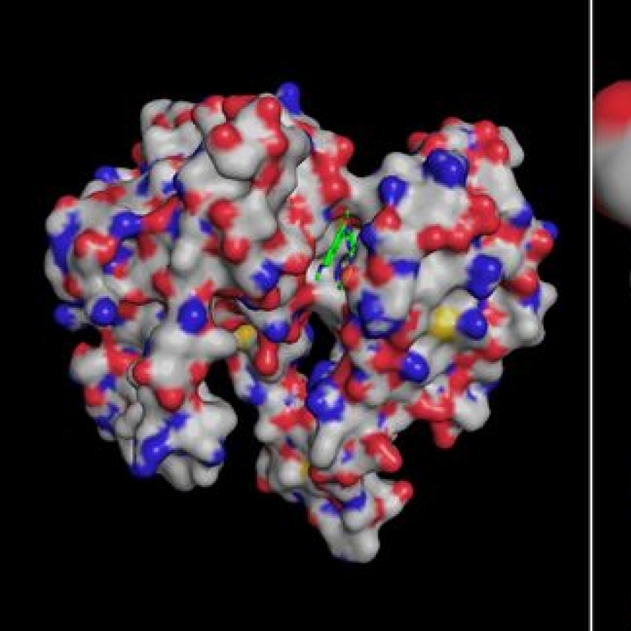 Daewoong develops drug candidate for oral obesity treatment