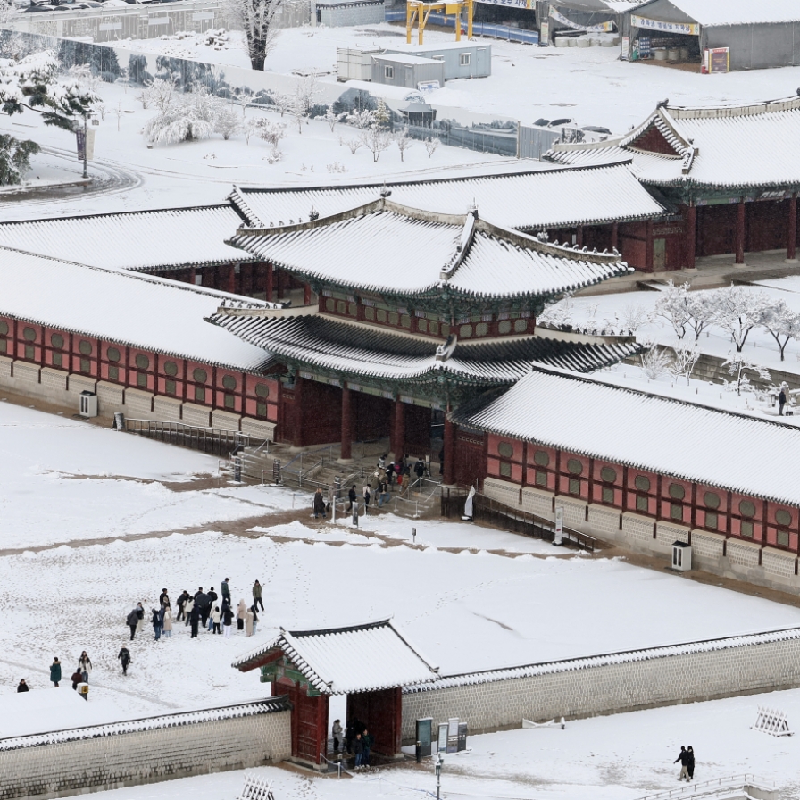 Seoul blanketed by heaviest November snow on record