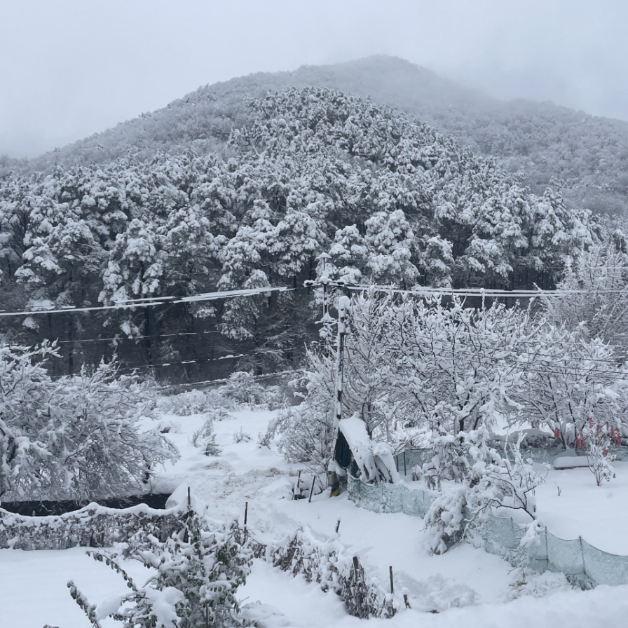 Major snowstorm shuts down schools in Seoul, Gyeonggi Province