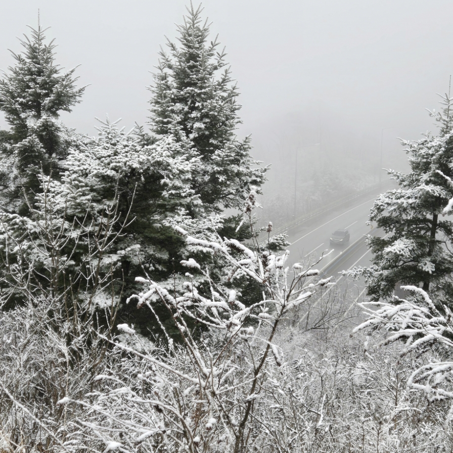 Heavy snow, cold wave expected this weekend