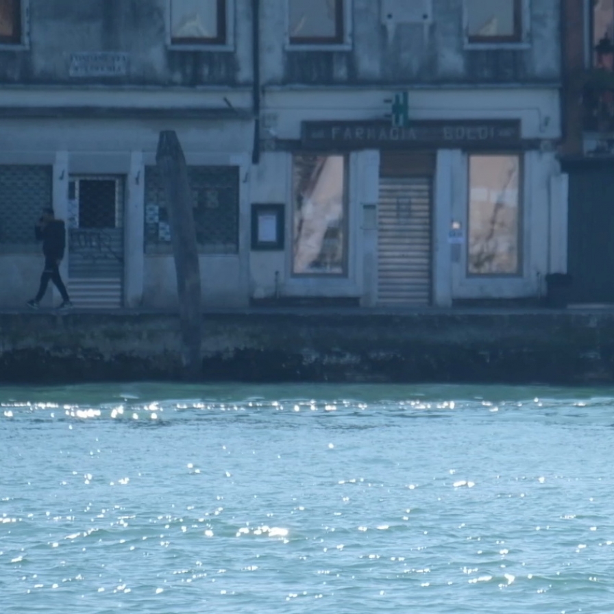 코로나 역설?…선박으로 붐비던 베네치아 석호에 돌고래 출현