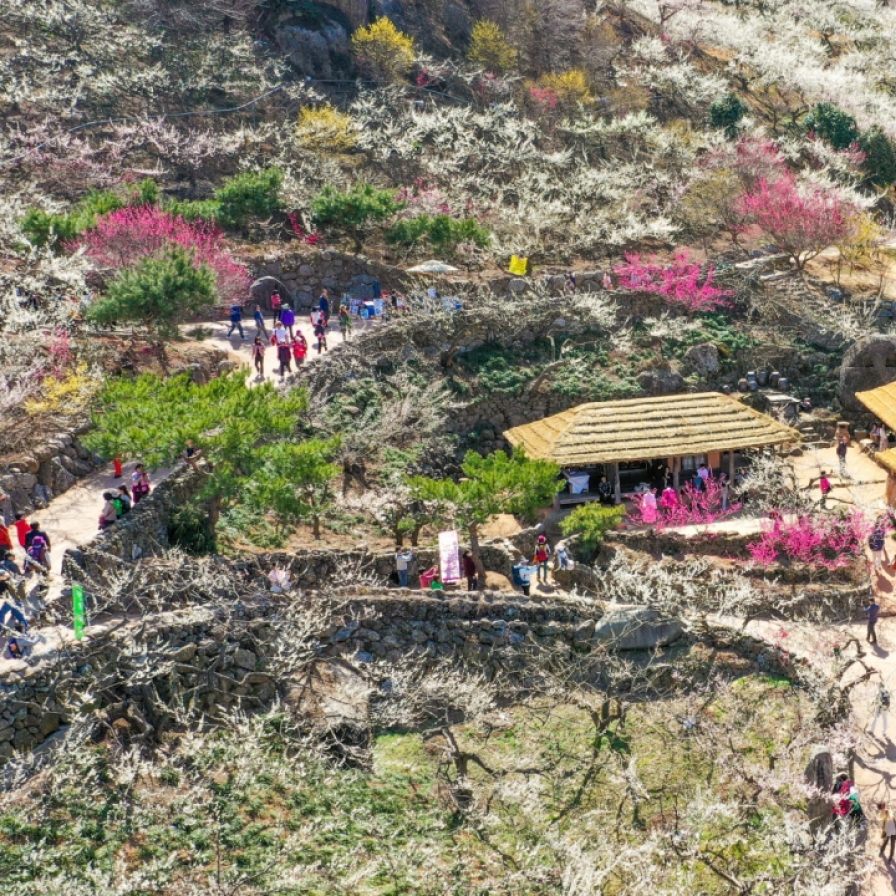 Gwangyang Plum Blossom Festival to charge admission for first time