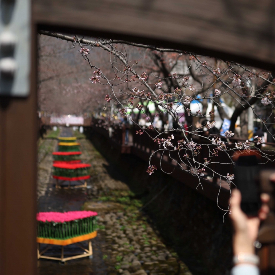 Late cold snap leaves blossom festivals without blooms