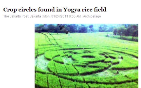 Crop circles found in Yogya rice field