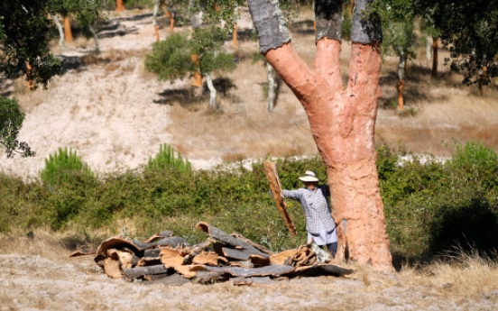 Portugal’s cork forests fight back in the War of the Stoppers