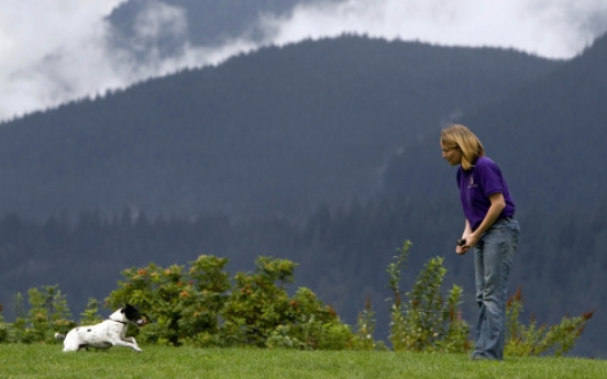 Sit! The half-dozen commands every dog should know