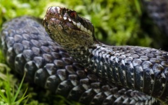 10-foot dead snake found in Seine in Paris
