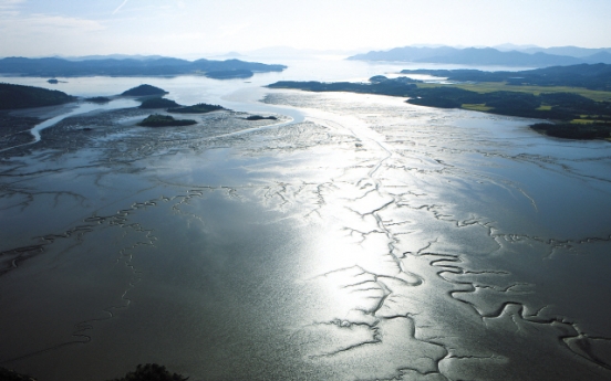 Life-giving land: Tidal flats are haven for marine creatures