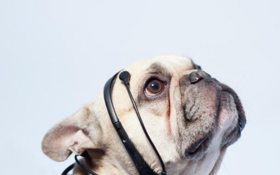 ‘No More Woof’ claims to translate dog’s thoughts into English