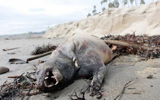 미국 해변가에서 정체모를 ‘괴생명체’ 발견