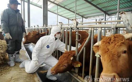 Over 40% of local cow farms closed since KORUS FTA: report