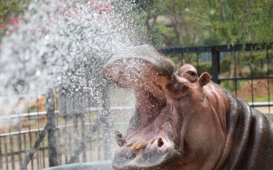 Severe heat wave grips Korea