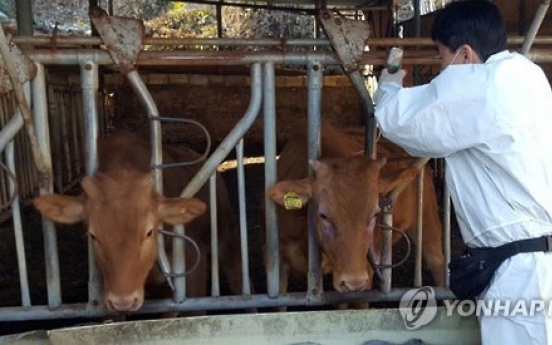 Fifth foot-and-mouth disease case confirmed in S. Korea