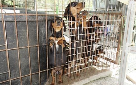 Parliament passes law requiring license for 'pet dog factories'