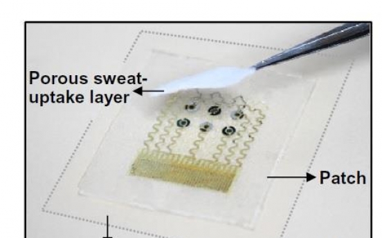 Scientists develop easy blood glucose monitoring device for diabetes patients