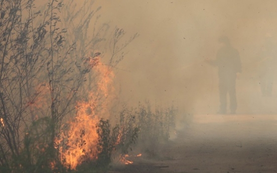 Large mountain fire in Gangwon reignites