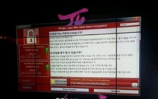 Korean gov't computers safe from WannaCry attack