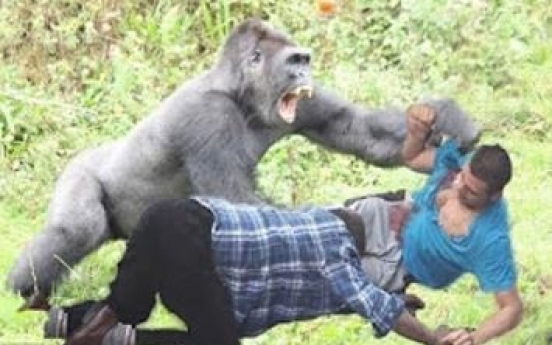 인간 vs 침팬지… 근육 대결 승자는?
