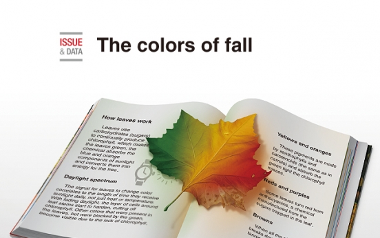 [Graphic News] The colors of fall