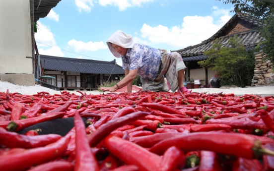 [Photo News] What’s redder than the sun?