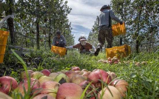 S. Korea’s producer prices fall in Aug.