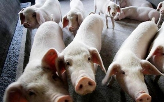 Another suspected African swine fever case reported in S. Korea